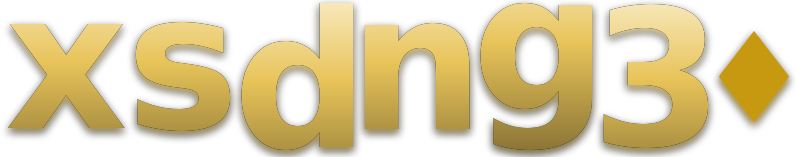 xsdng30 logo